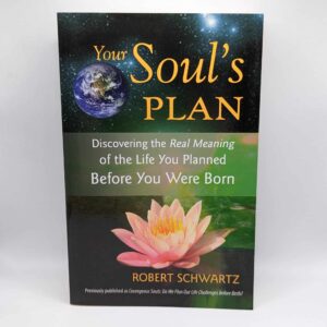 "Your Soul's Plan: Discovering the Real Meaning of the Life You Planned Before You Were Born" by Robert Schwartz