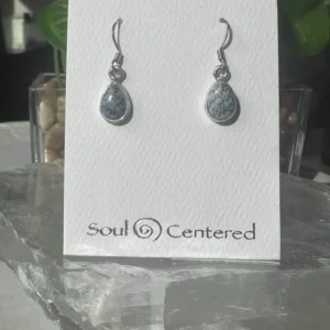 Dendritic Agate Pear Shaped Dangle Earrings Sterling Silver