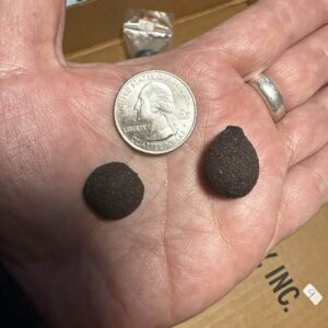 Boji Stone® (Old Stock) Rare 17 Dime Size