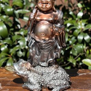 Buddha with Feng Shui Frog Statue