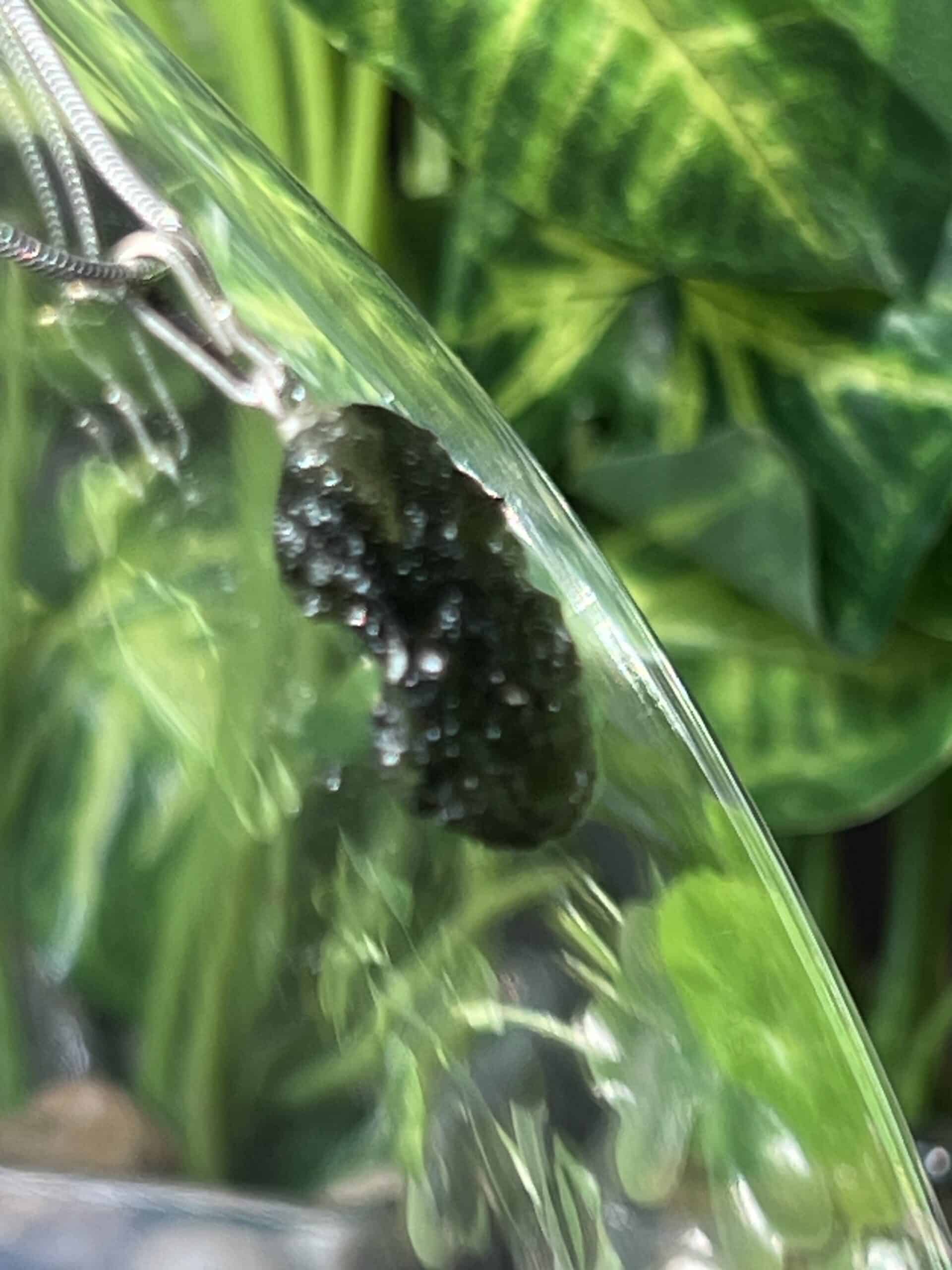 Raw Moldavite Pendant (Rare) - Image 2