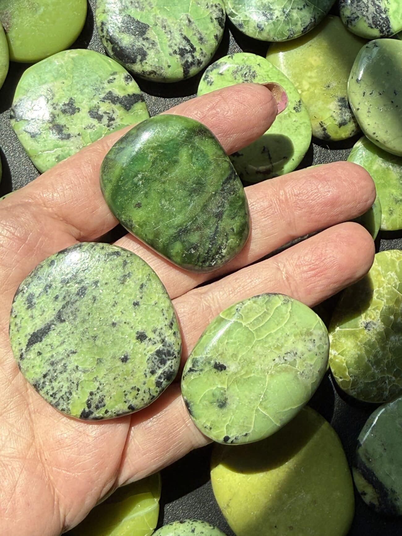 Serpentine Discs