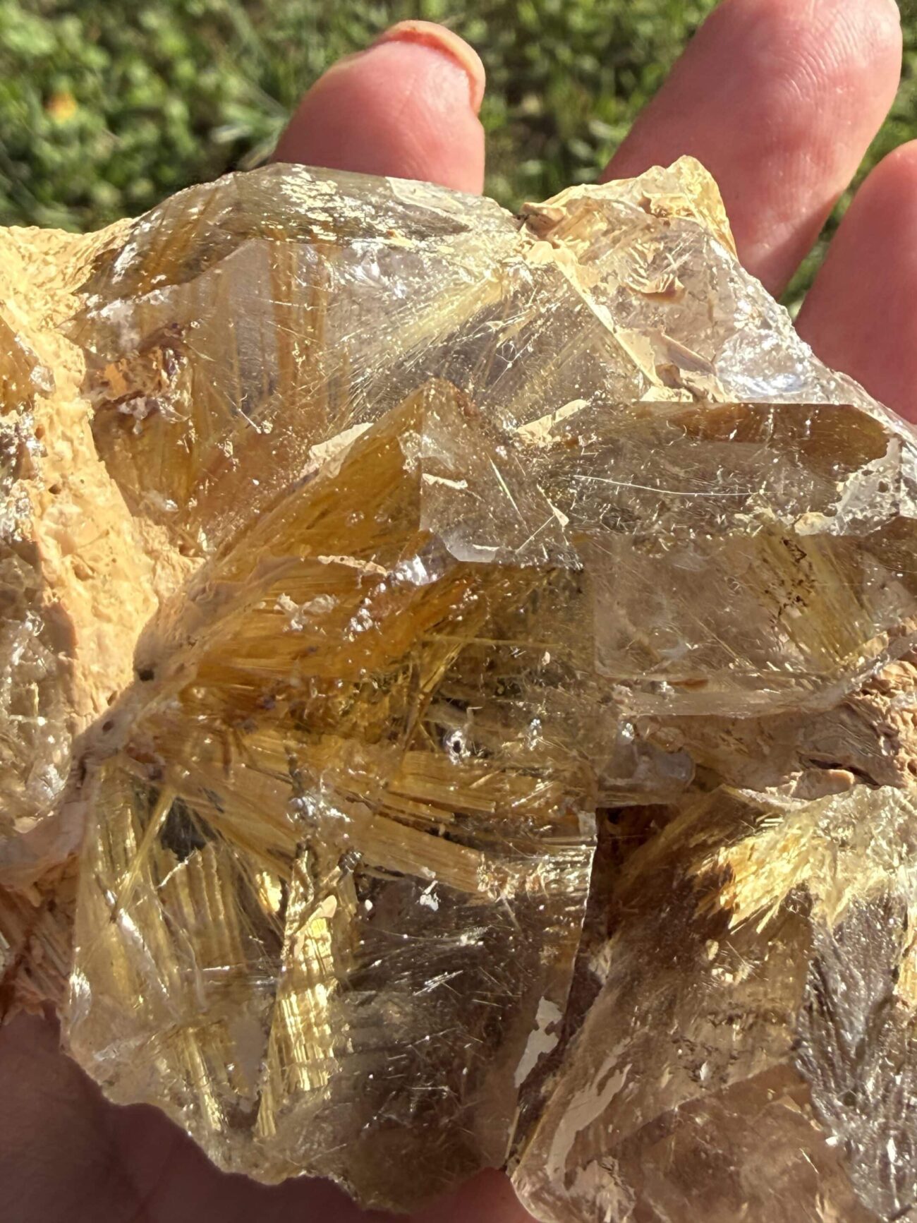 Smoky Golden Rutilated Quartz Cluster