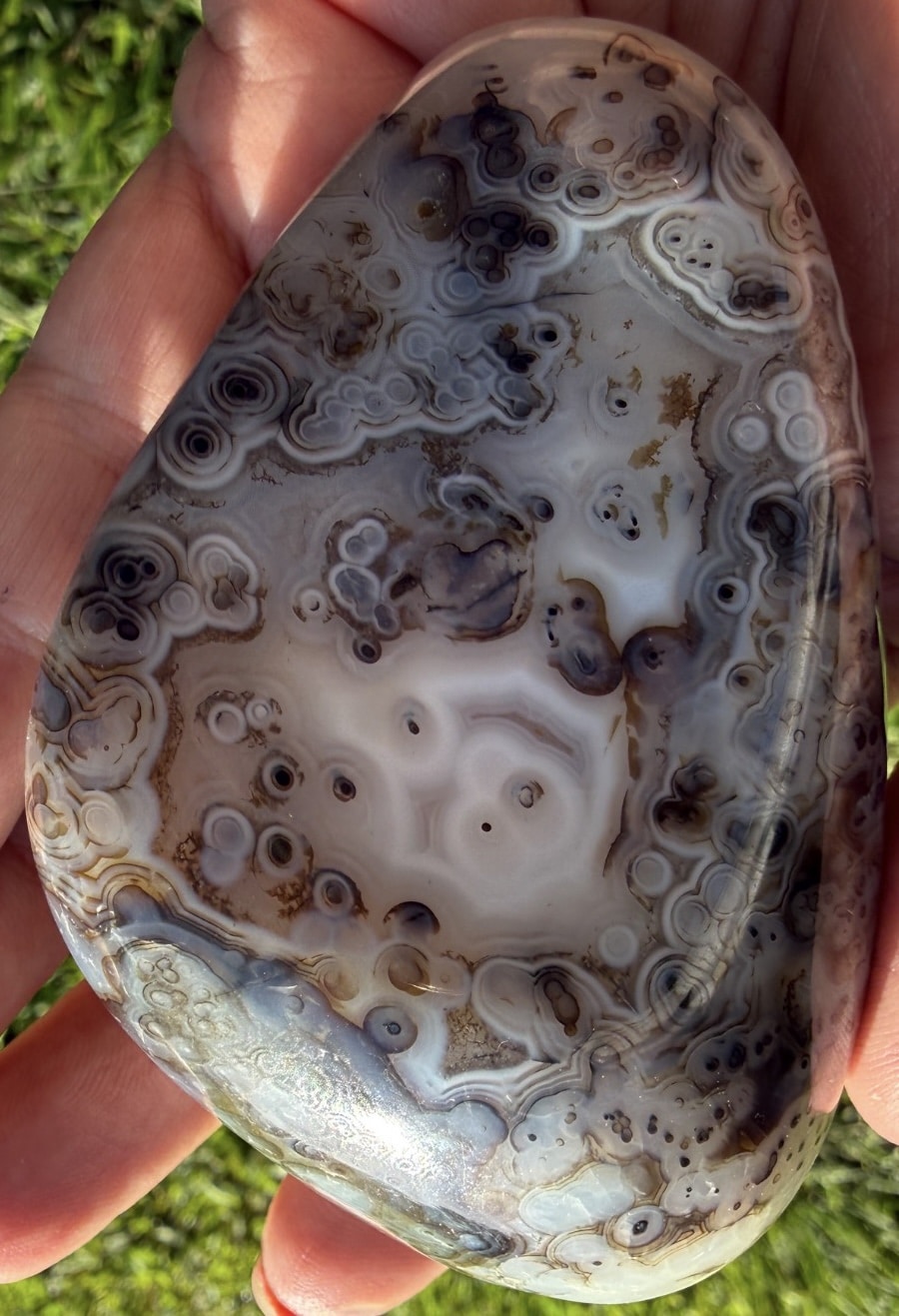 Premium Agate Eye Freeform with multiple natural eye formations and intricate fortification patterns