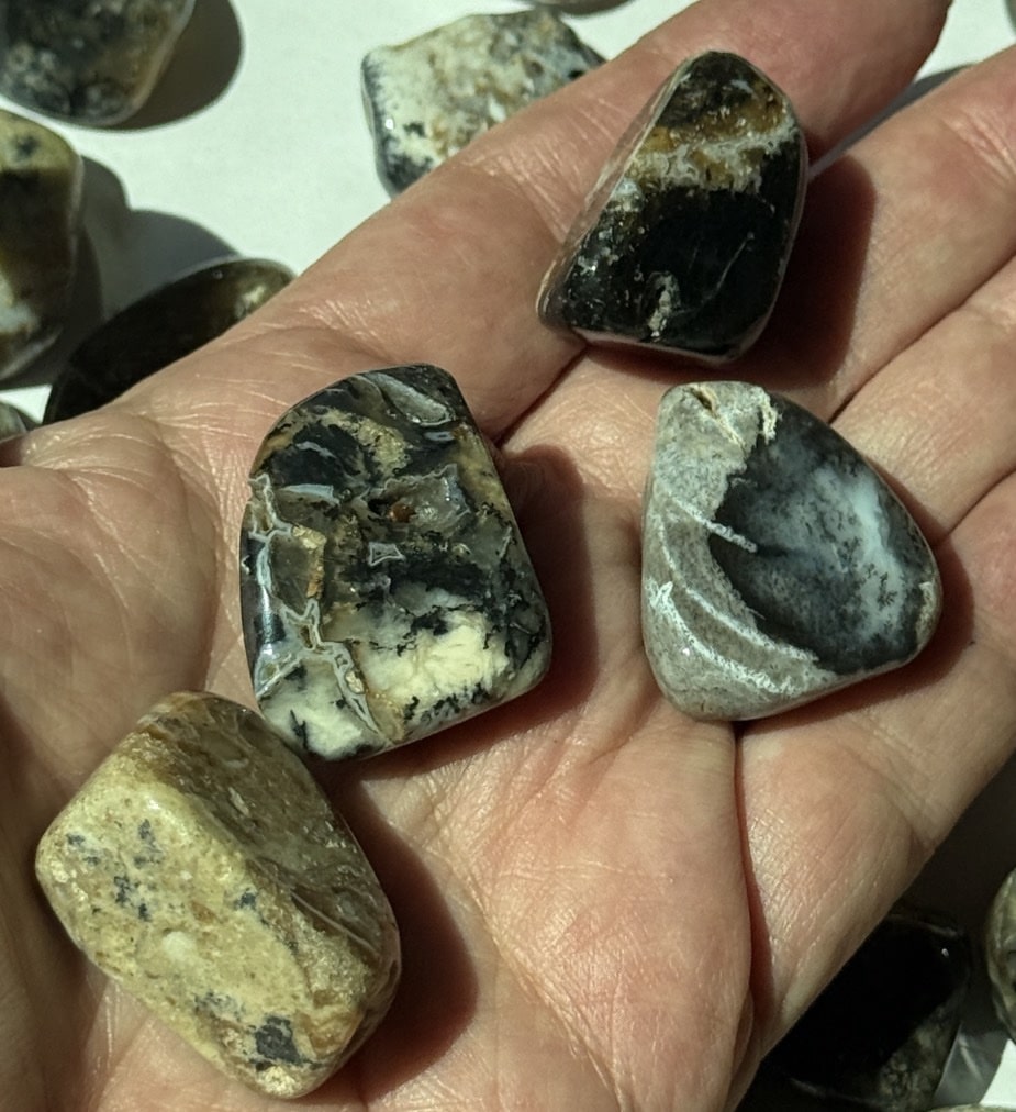 Dendritic Agate