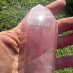 Trans Channeling Brazilian Rose Quartz Point