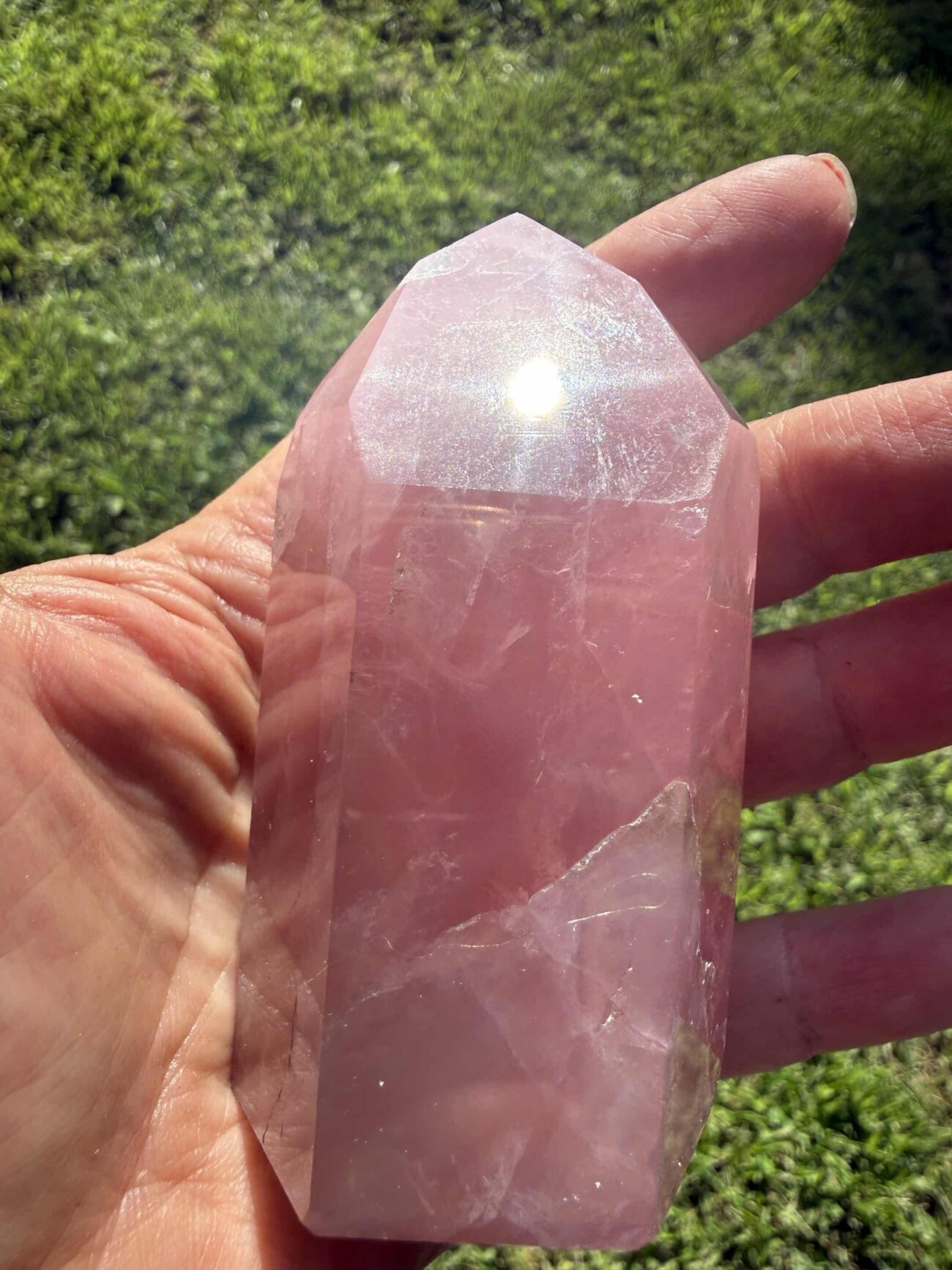 Trans Channeling Brazilian Rose Quartz Point
